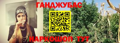 меф Кингисепп