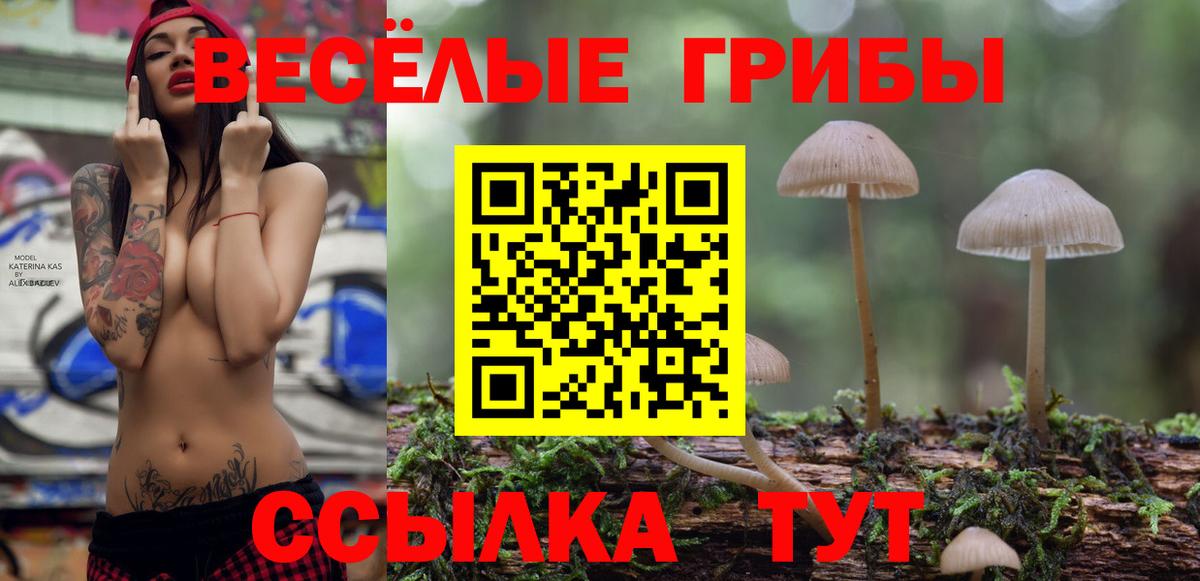 Псилоцибиновые грибы Psilocybine cubensis Кудрово