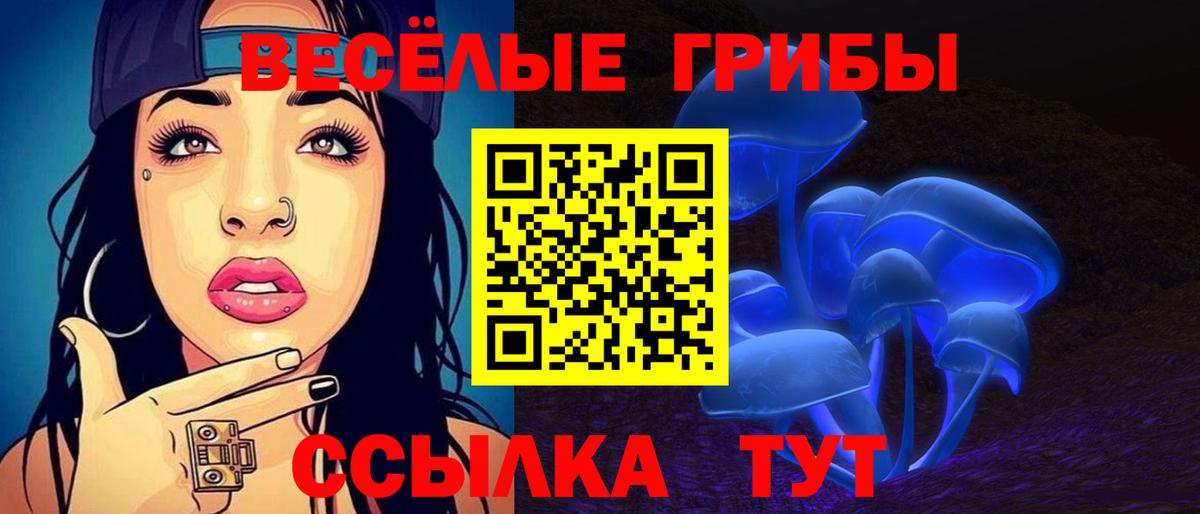 Кудрово  Псилоцибиновые грибы Psilocybine cubensis  Вход с VPN  Галлюциногенные грибы Psilocybine cubensis 